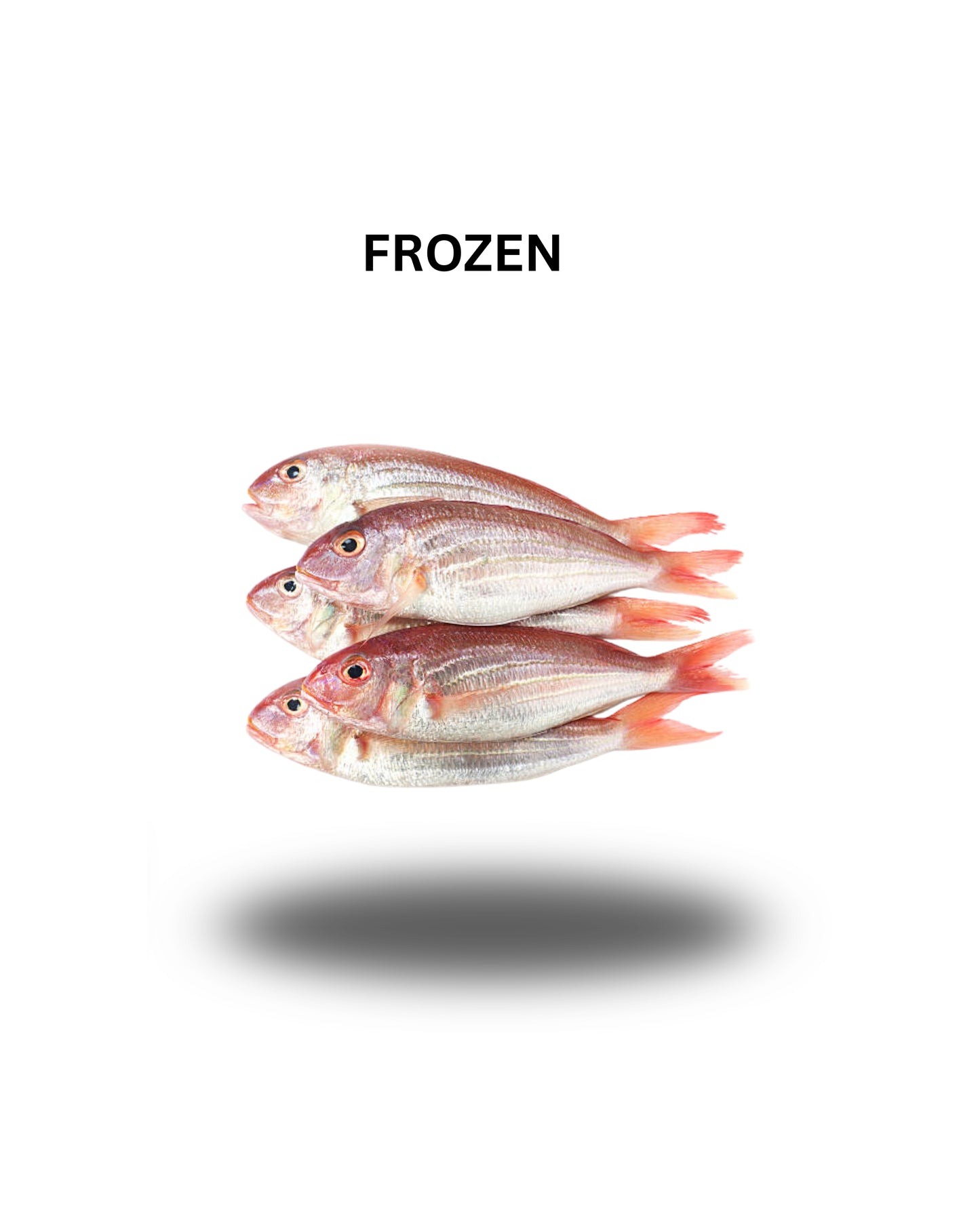 FROZEN THREADFIN BREAM (KILIMEEN) 600GM