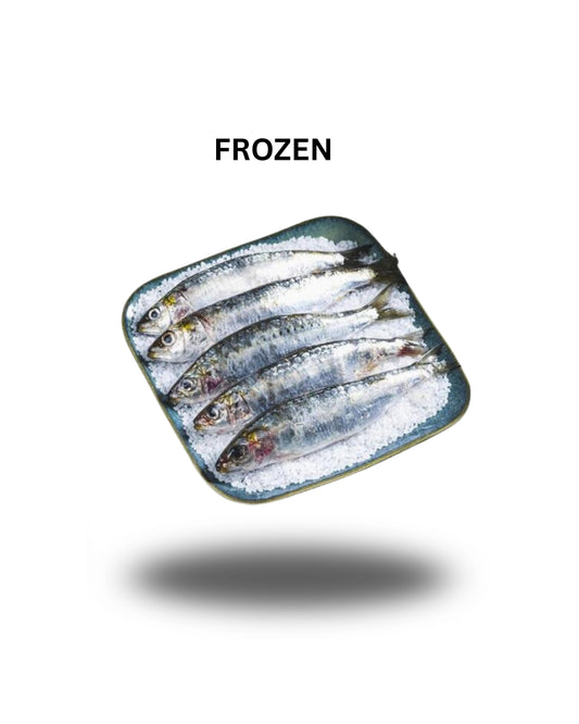 FROZEN SARDINE WHOLE 1KG